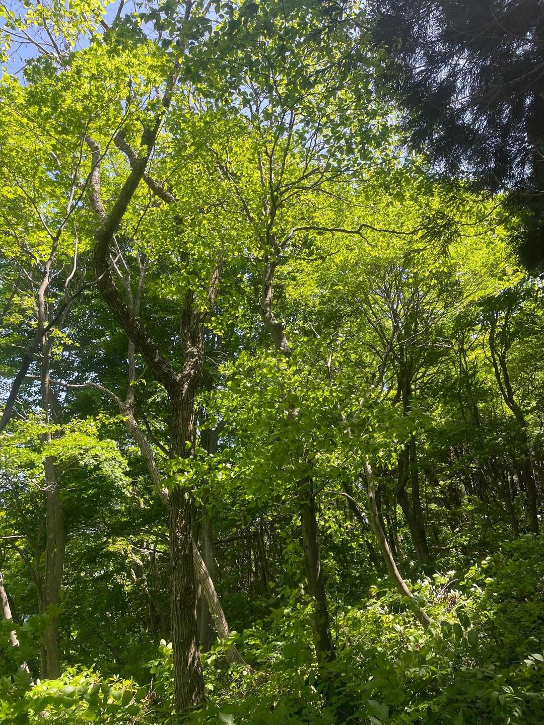 今日もキレイ✨