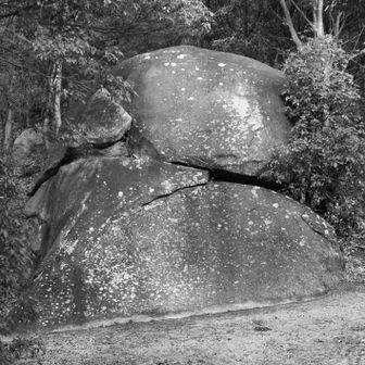 足下を
きれいに掃かれ　顔隠す