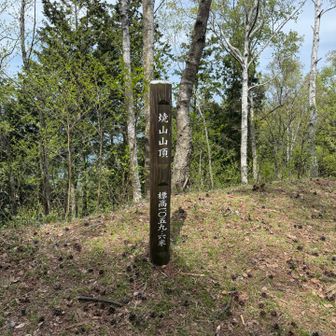 焼山到着
