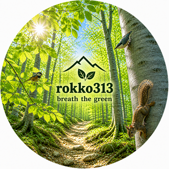 rokko313
