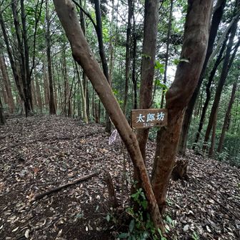 下山途中で
発見したもう一つのピーク⛰️
