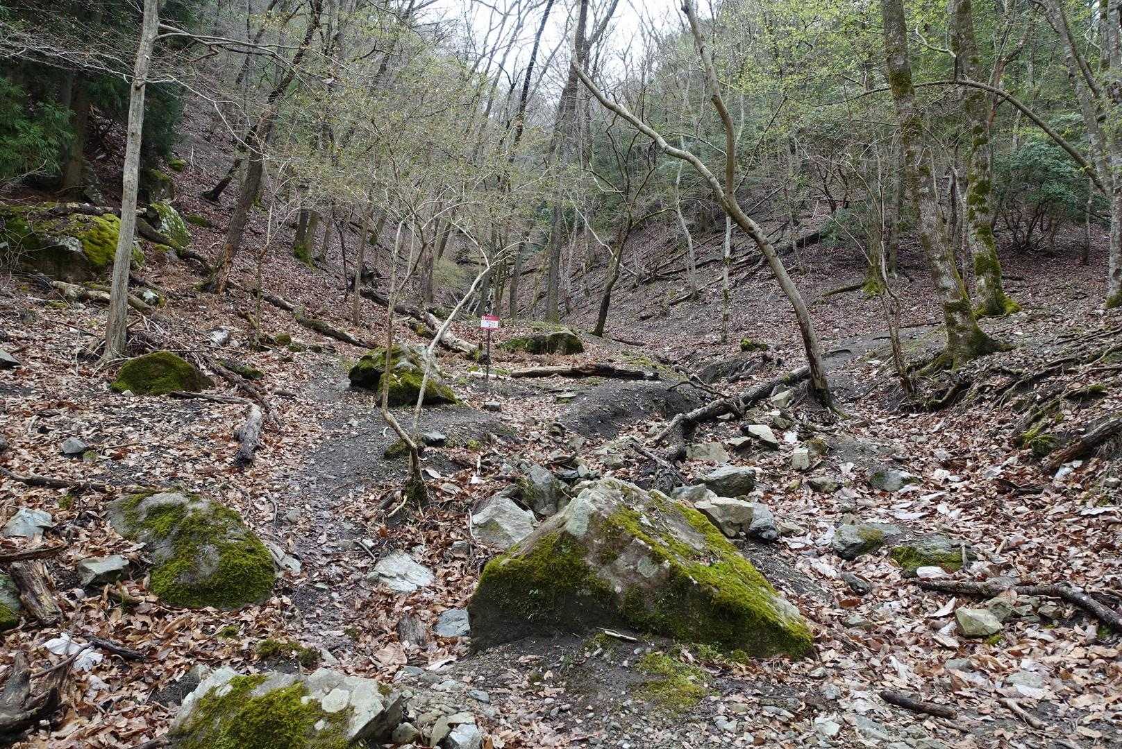 雰囲気よろし✨