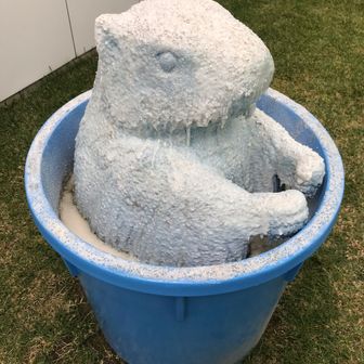 ちゃあ