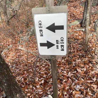 各務原アルプス（関南アルプス）・八木三山 鎖場から登り返します