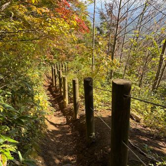 狭い(旧道)から、新道を作った？