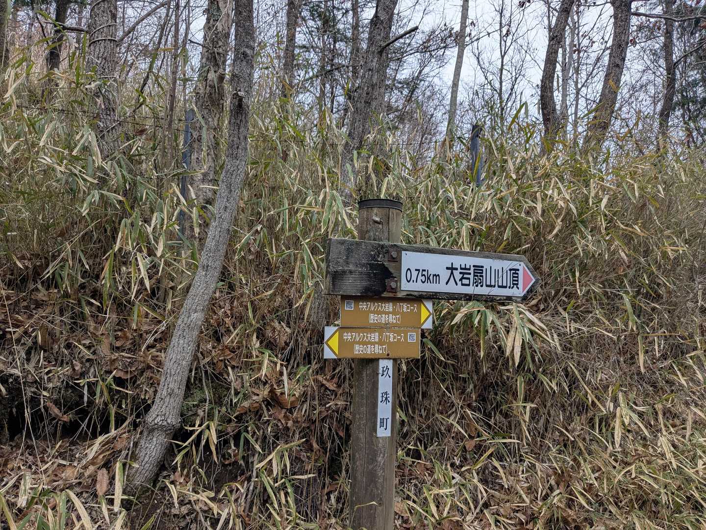 八町越-大岩扇山 往復コースの写真