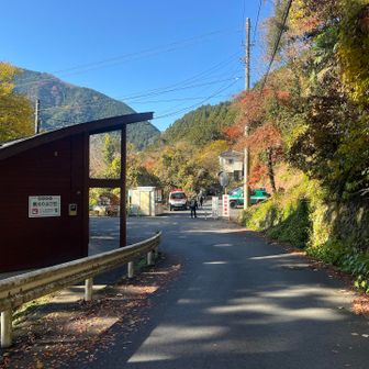 古里駅からスタート。
舗装路から、さあいよいよ散策路へ…
のところで、突き当たりにパトカー🚔
熊情報により鳩の巣までの散策路は通行止めとのこと…