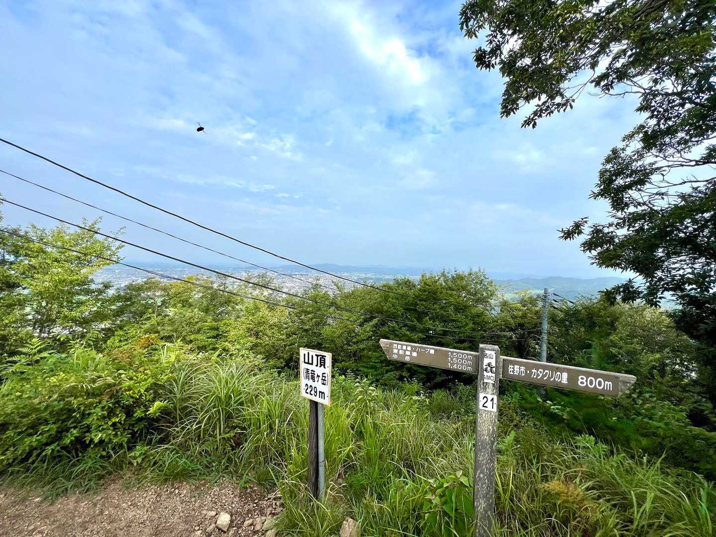 青竜ヶ岳山頂⛰️