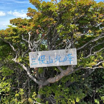 YAMAP上ピークの少し先に看板🪧

三俣山　北峰⛰️
1690m
