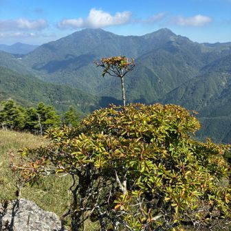 塔丸のこの子のバックには剣山、次郎笈👍
