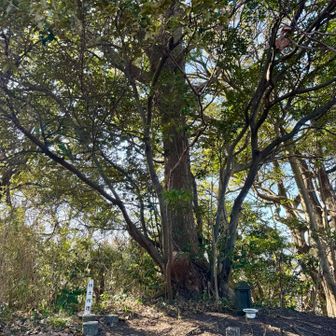 権現山に到着😊