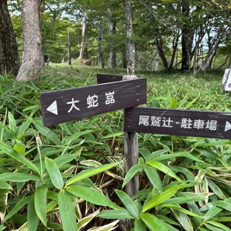 大蛇グラはかなりの迫力です、映像は動画で