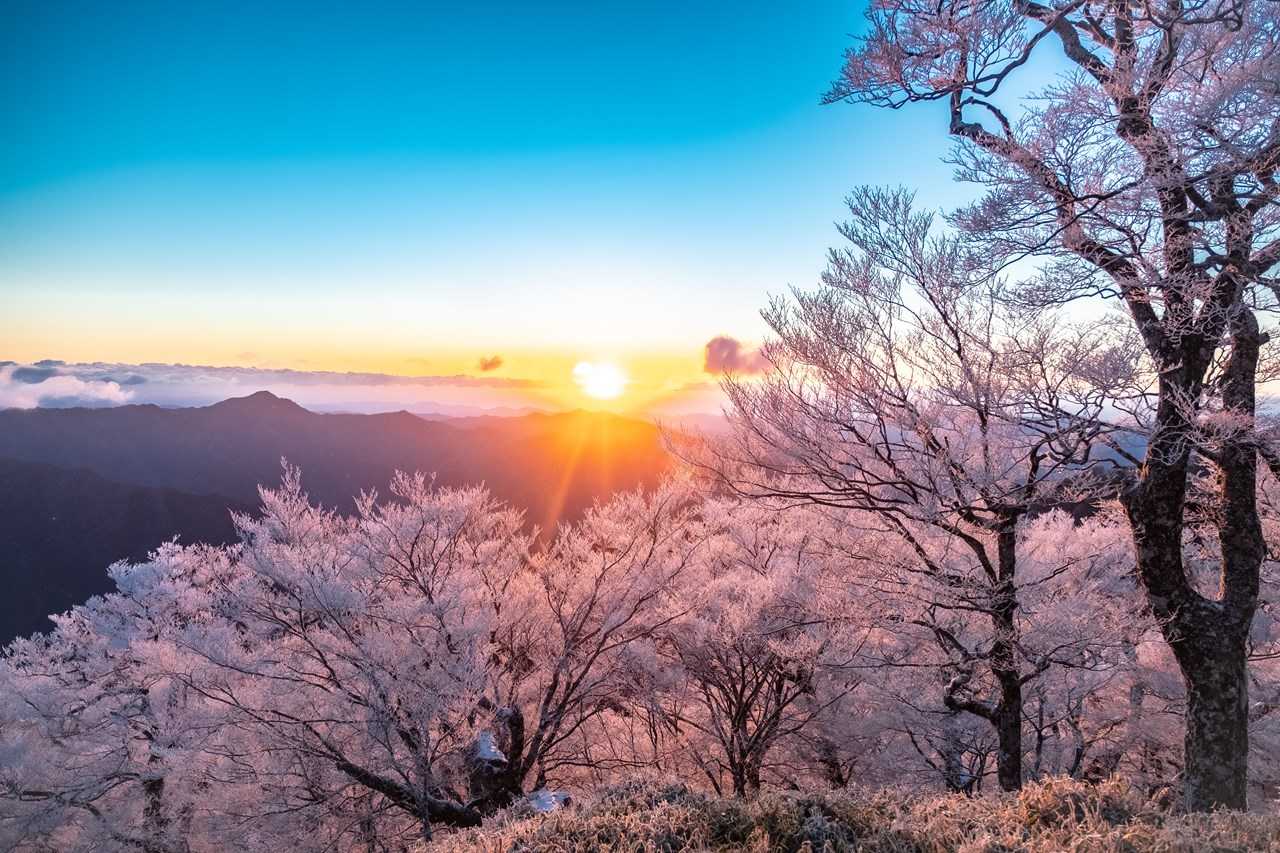 雲の上からのご来光