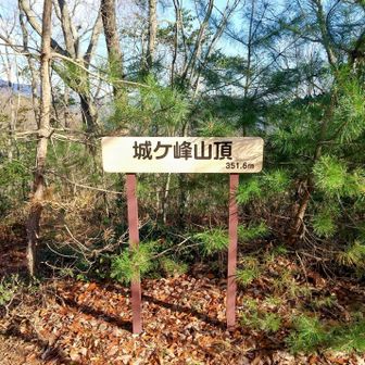 
城ヶ峰 山頂 ▲ に 到着しました
本日 4座目 です
ここは 眺望が ございませんでした
城ヶ峰 山頂標識 - 1

