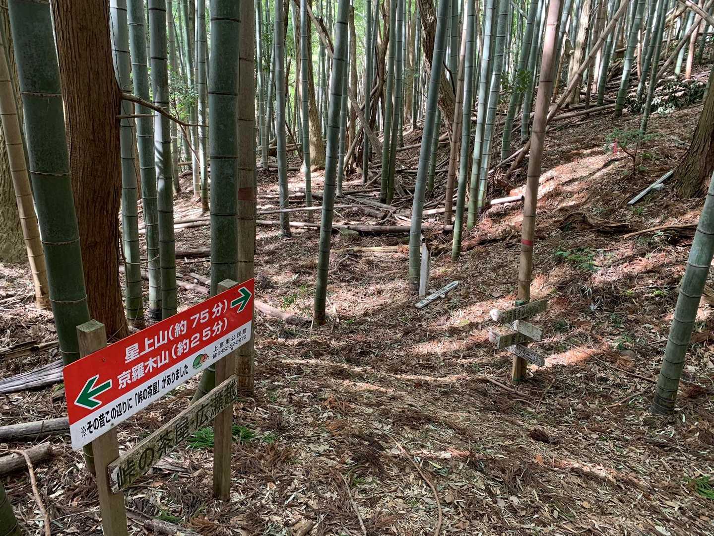 出雲金刀比羅宮-京羅木山 周回コースの写真
