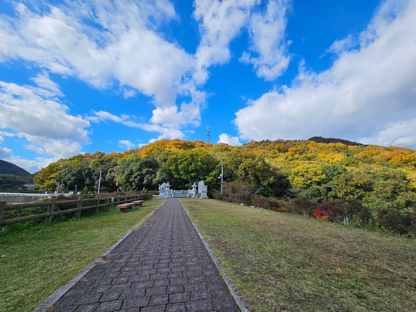 紅葉している山は
とても綺麗でした🍁