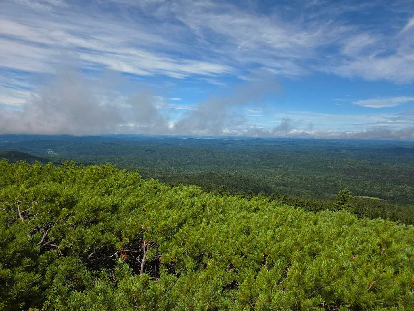 雌阿寒温泉登山口-雌阿寒岳-阿寒富士-オンネトー登山口 周回コースの写真