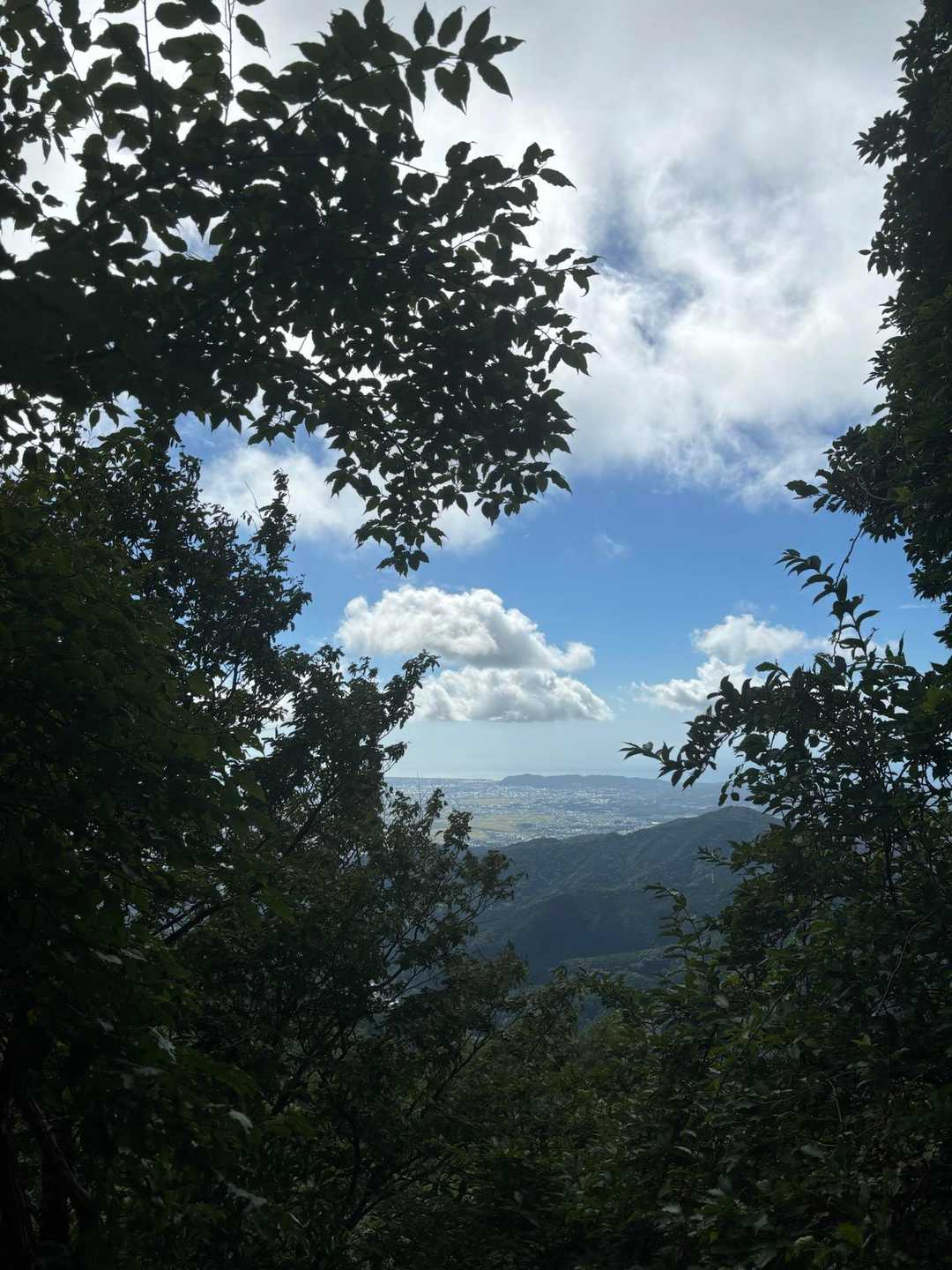 日向キャンプ場-大山 往復コースの写真
