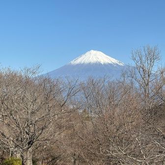 撮影が止まりません