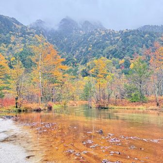 上高地ならではの景色だらけ