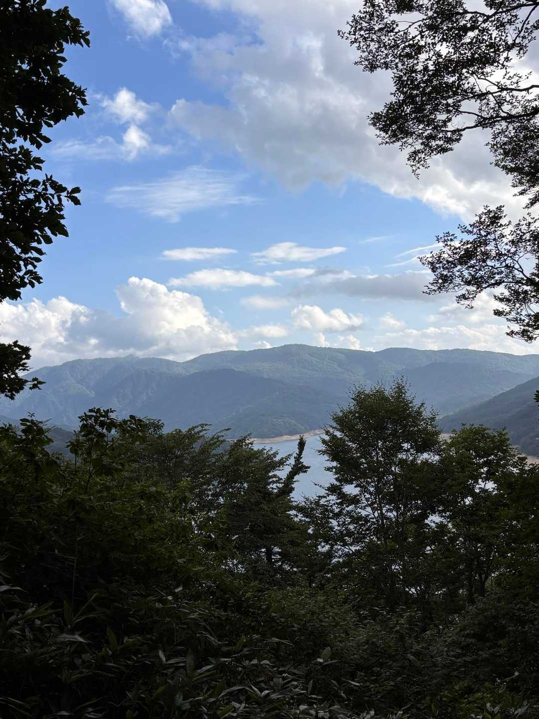 ここは紅葉の時期にも来てみたい
レポで見た景色、すごく綺麗だった🍁