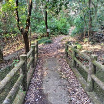 橋の向こうに向かいます👍今日はグレーピーク2つ盗って帰ります😁