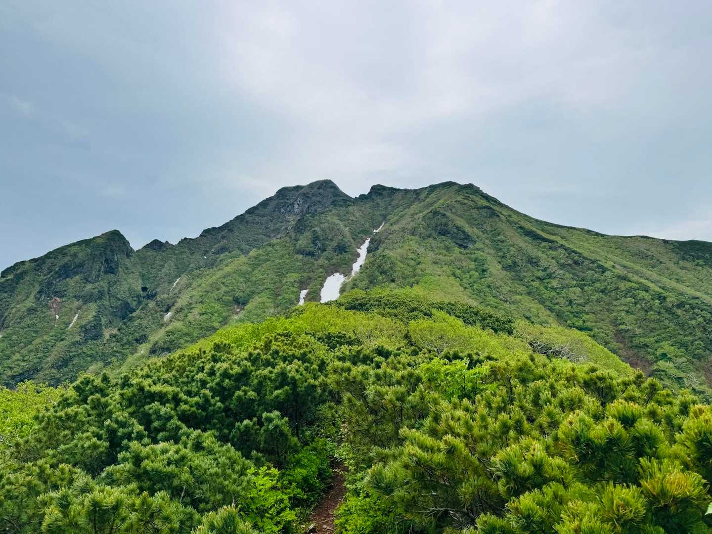 やっと見えました、山頂！