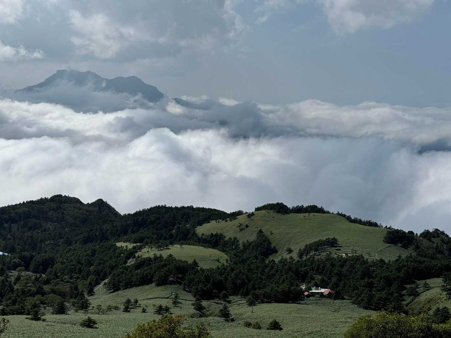 この景色好き🥰
雲海の上に石鎚山☁️⛰️☁️