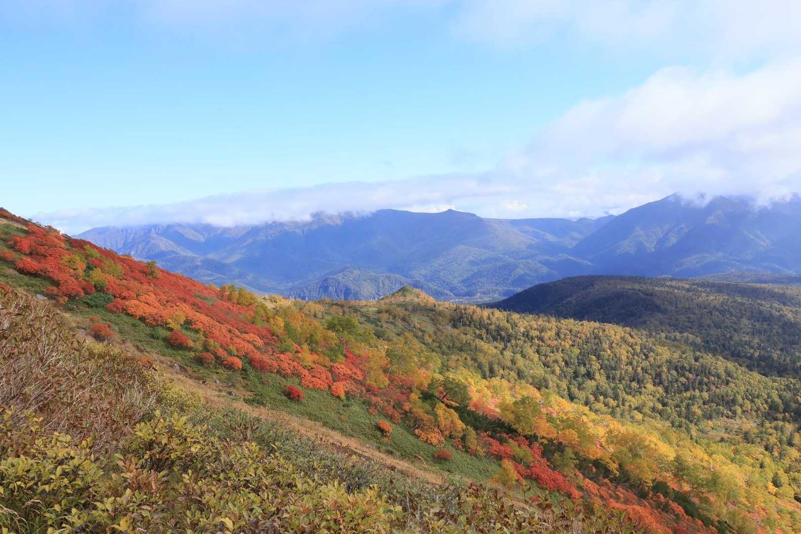 赤岳登山口-赤岳-小泉岳-緑岳-大雪高原温泉沼めぐり登山コ 縦走コースの写真