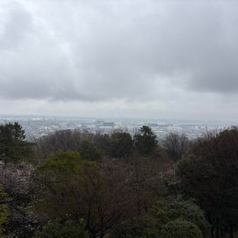 おっ、少し見える相模原市内、ずっと奥には東京方面ですが何も見えず😕🗼
上って良かった🤗