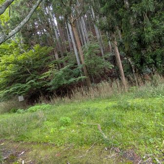 西青山から登る場合
ここからの草むら地獄は意外と堪えると思うよ。
かと言って幹線道路はバンバン車通るしねえ。
