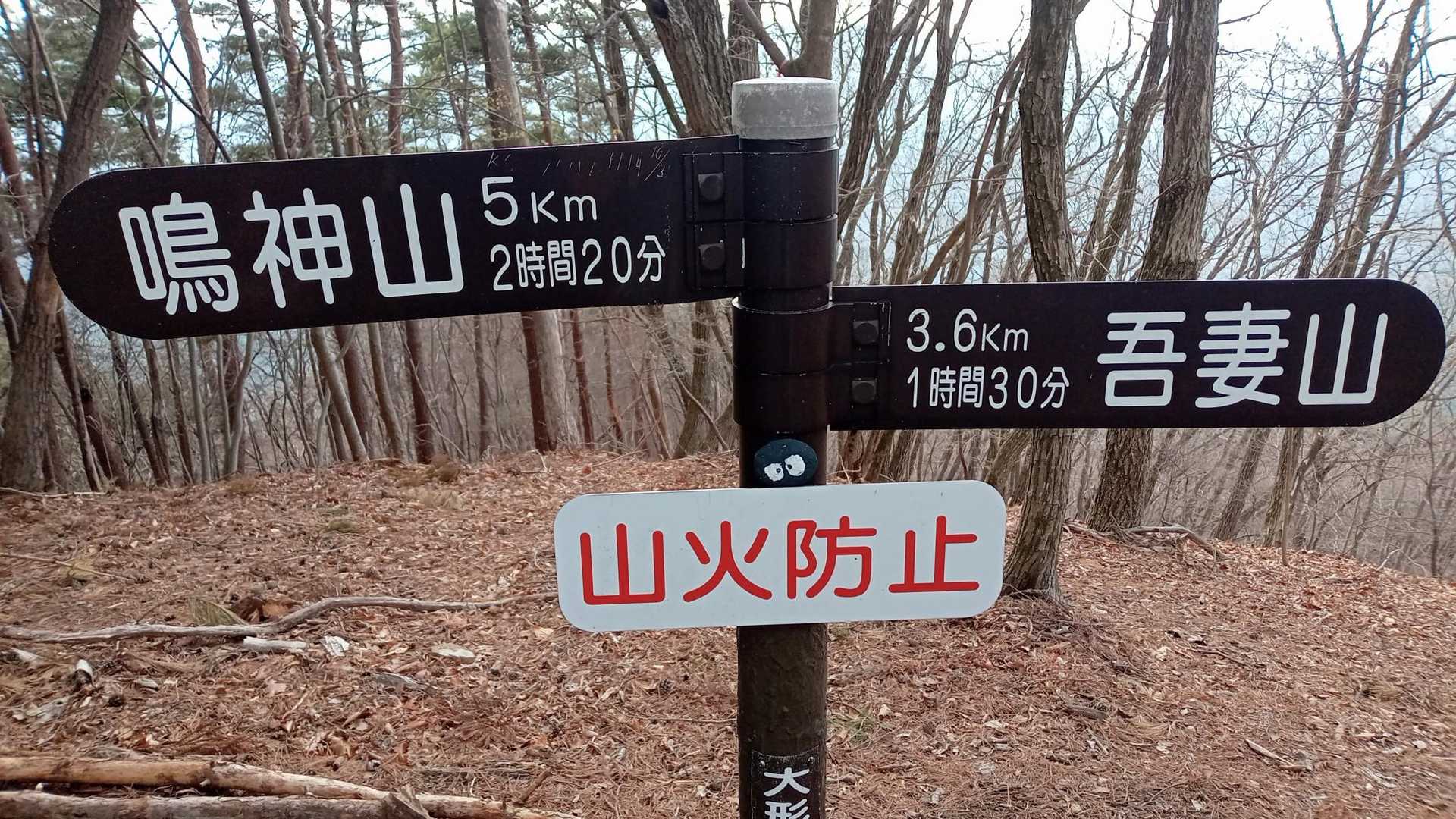 大形山登頂♫