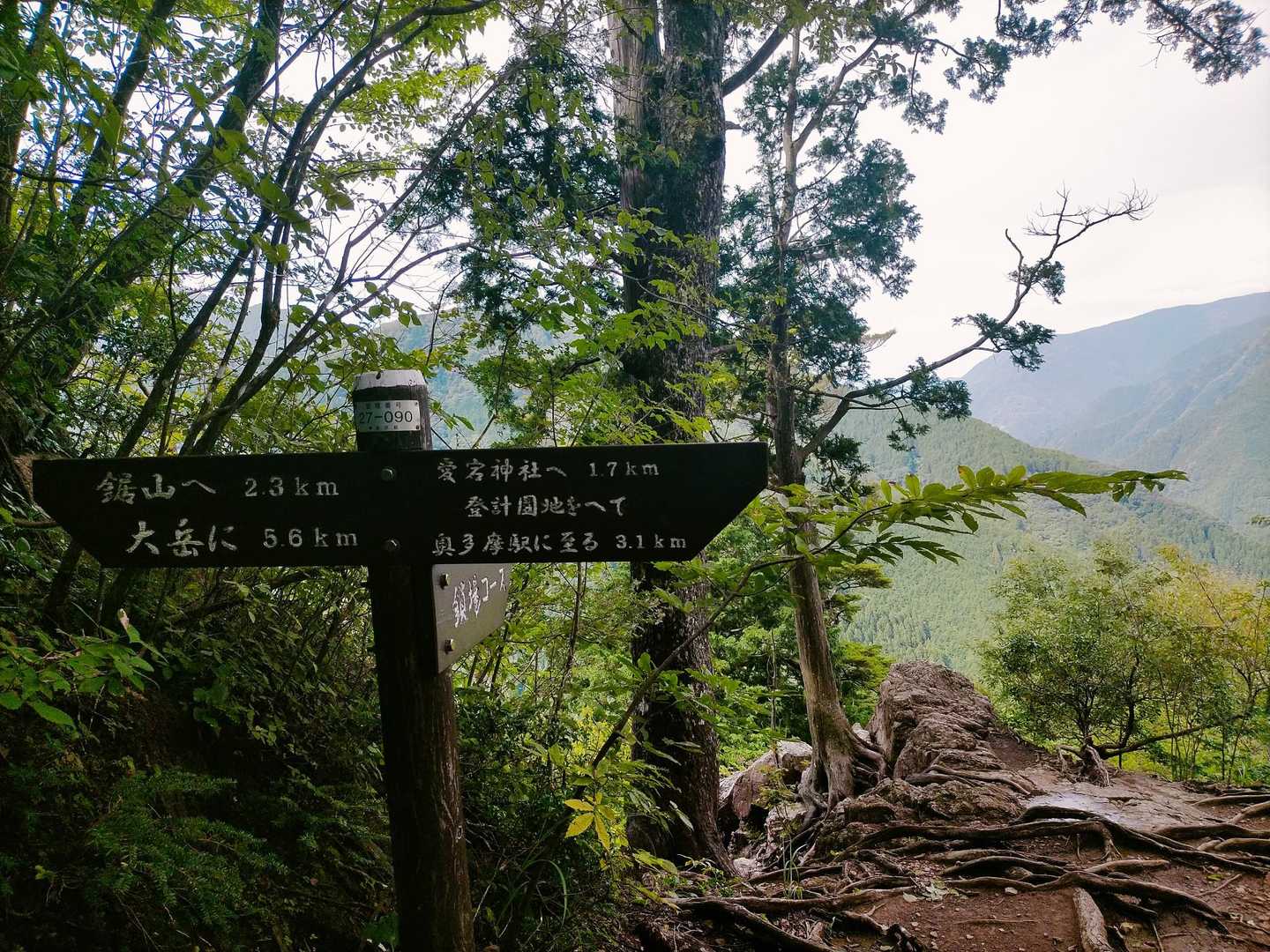 時間あれば大岳山経由で御岳山まで縦走したい気分だが...⏰