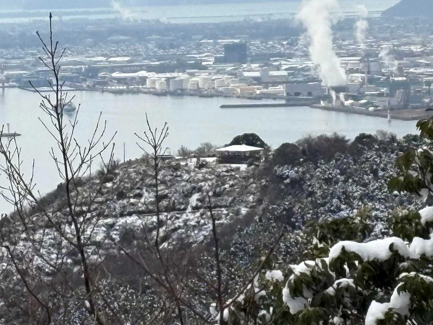 真ん中に見えるのが五本松公園の東屋
あそこでお昼食べる予定❤️
