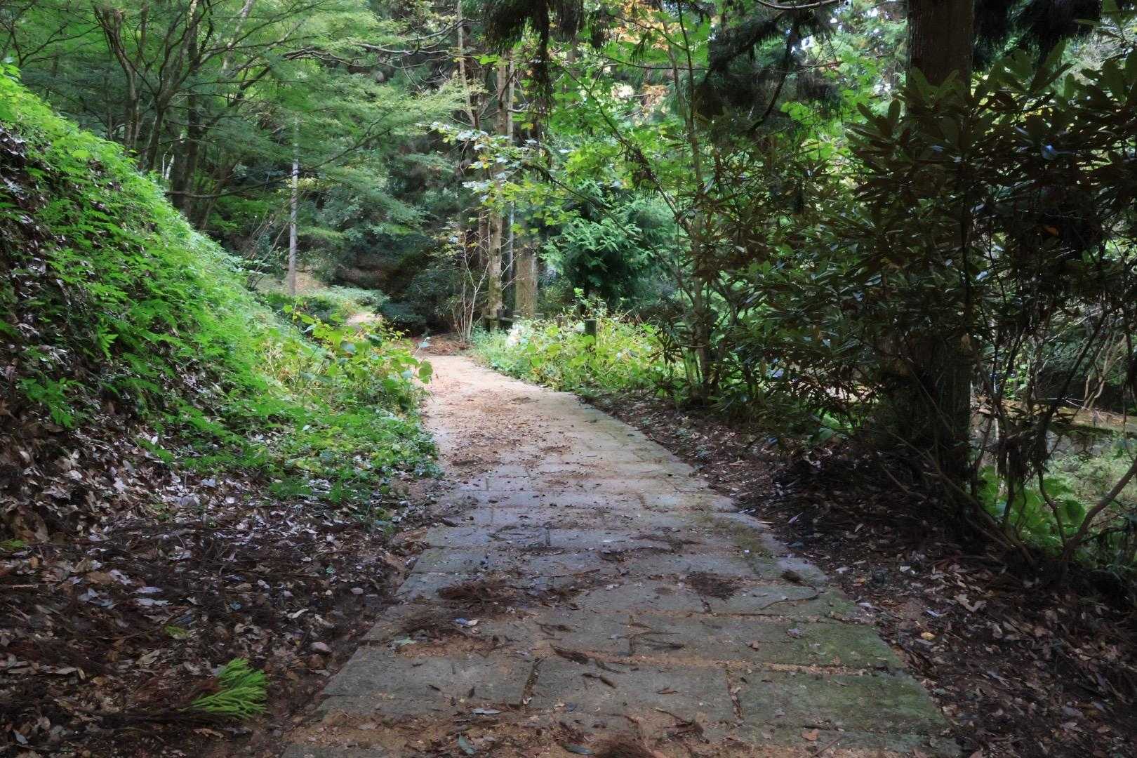 この後
🅿️まで舗装路てくてく