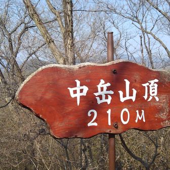 中岳