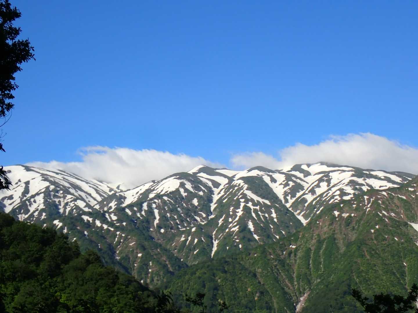 倉手山 往復コースの写真