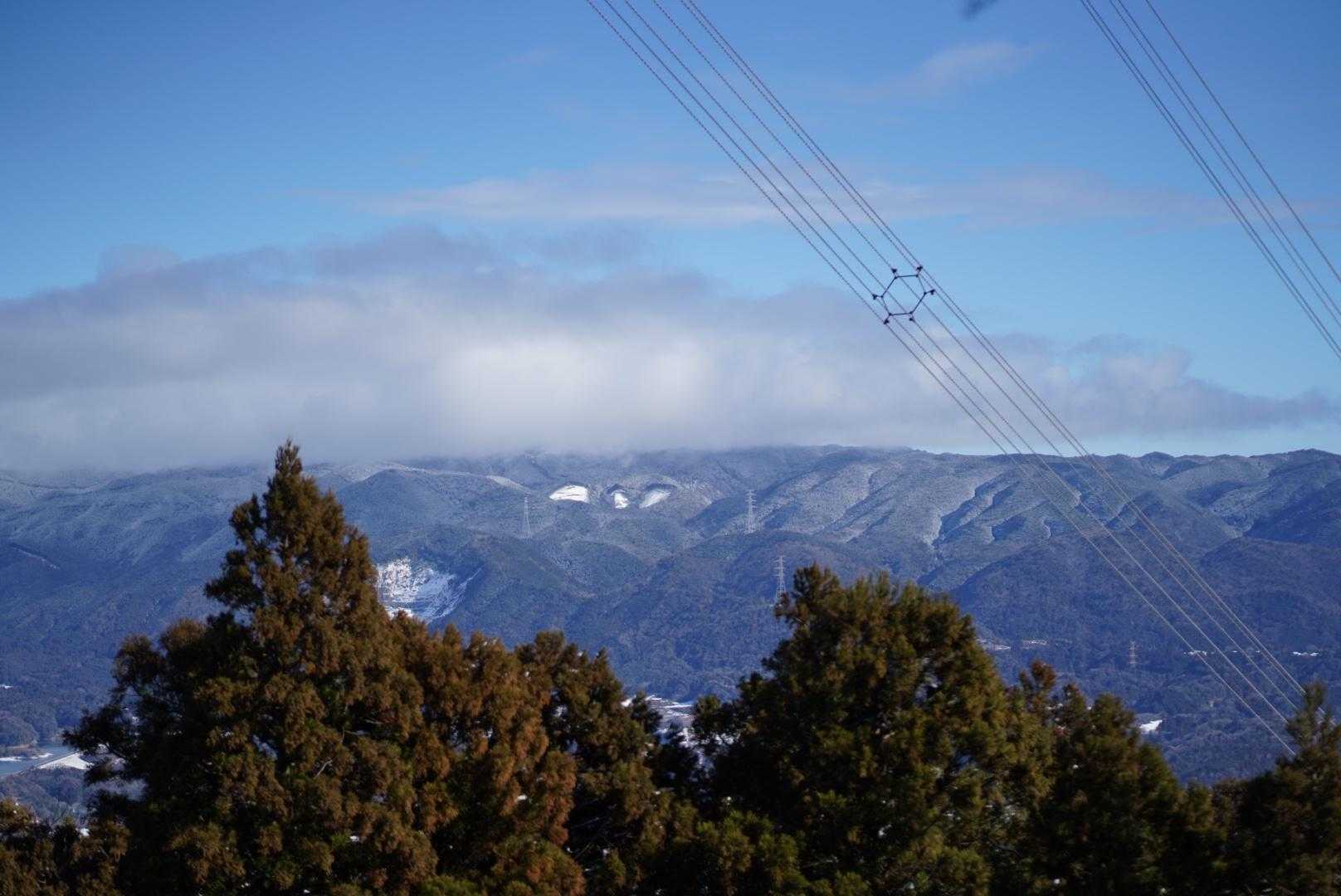 伊吹山⁉️今年は昇れるかな〜