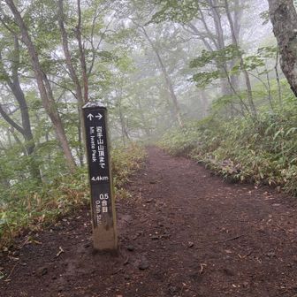 結構歩いたつもりが0.5合目！😓