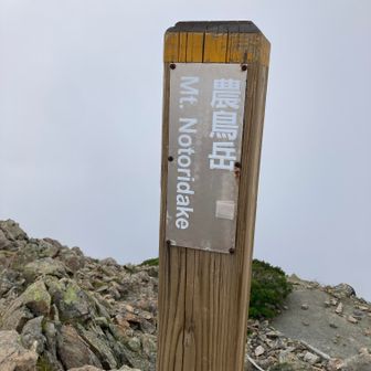 登頂　農鳥岳🏔