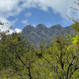 駐車場からみた山頂。「山っ」ですね🤗