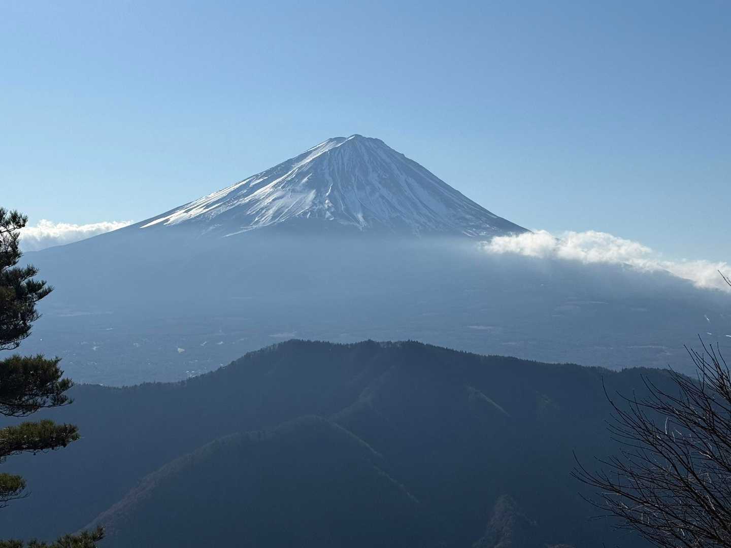 ミネ山-毛無山 周回コースの写真