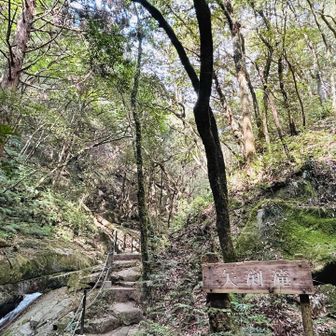 矢淵滝