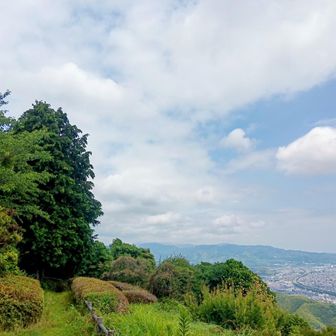 富士山観えないね〜🫠
