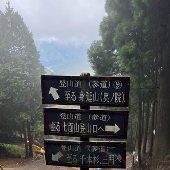 見落とした案内版😱
どうやら七面山に向かっていたみたい💦💦