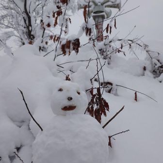 お妻さん謹製　雪だるま１号