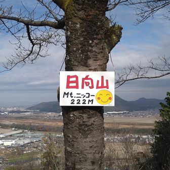 今日の3座目、日向山（標高222.7ｍ）山頂標識