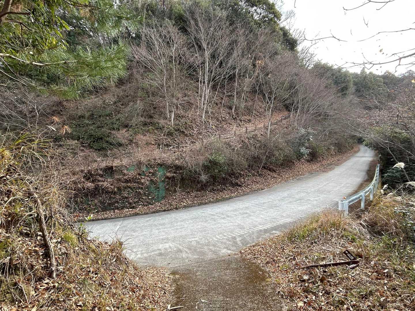 時々 
神社への車道を
横断(•̥̑.̮•̥̑)