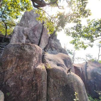 山頂に近づくに連れ 岩だらけになってきた