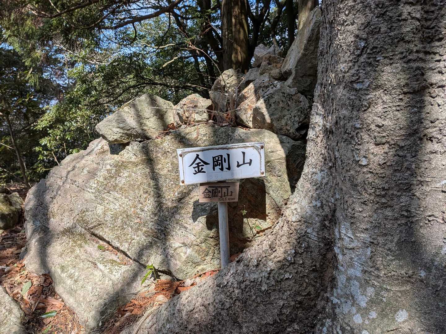 ⛰️金剛山　562m
本日最西端の山🧭
ここからは折り返し。